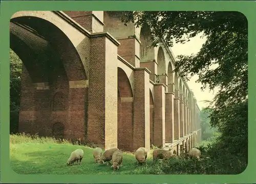 Ansichtskarte  Tiere Schaf Schafe unter einer Brücke 2000