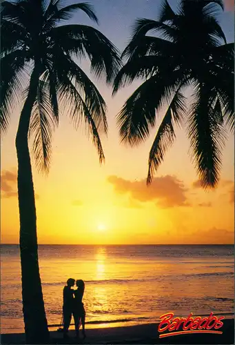 Barbados allgemein Romantic Sunset Palmen Sonnen-Untergang Barbados Karibik 1990
