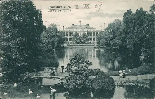 Frankfurt am Main Zoologischer Garten, Brücke über Teich mit Schwänen 1907