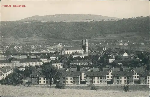 Bad Säckingen Panorama-Ansicht Blick auf Wohnhäuser & Stadt 1910