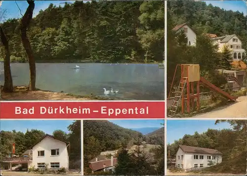 Ansichtskarte Eppental-Bad Dürkheim Partien am Schlangenweiher 1974