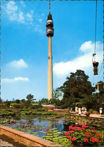 Ansichtskarte Dortmund Fernsehturm mit Wasserrosen 1965