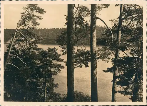 Rudczanny-Nieden (Niedersee) Ruciane-Nida Masuren Am Beldahnsee 1940