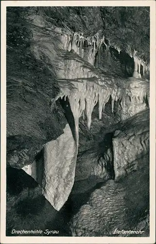 Ansichtskarte Syrau (Vogtland) Drachenhöhle Elefantenohr 1961