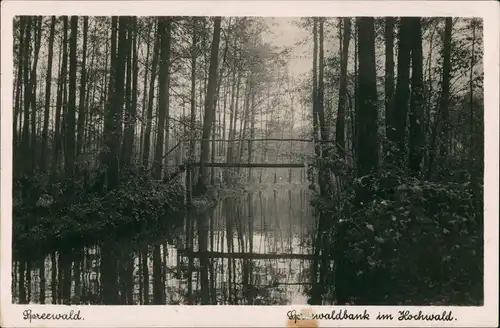 Ansichtskarte Lübbenau (Spreewald) Lubnjow Spreewladbank im Hochwald 1930