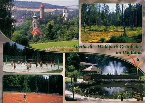 Auerbach (Vogtland) Mehrbild-AK Waldpark Grünheide im Vogtland 2000