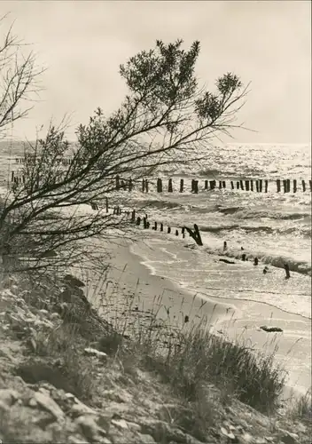 Ansichtskarte Fischland Küste, Strand - Wellenbrecher 1968