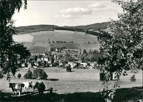 Ansichtskarte Erlbach (Vogtland) Blick auf die Stadt 1980