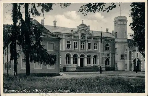 Postcard Pommerzig Pomorsko Partie am Schloß Züllichau Grünberg   1941