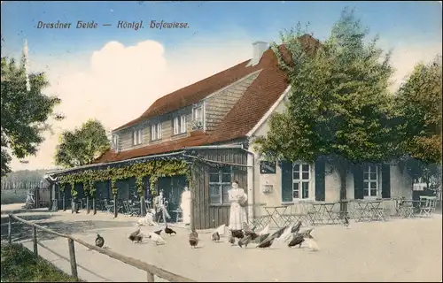 Ansichtskarte Langebrück-Dresden Restaurant - Hofewiese Frau Hühner 1913