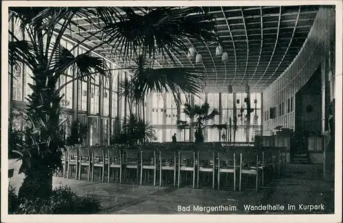 Ansichtskarte Bad Mergentheim Wandelhalle im Kurpark Palmen im Kurhaus 1938
