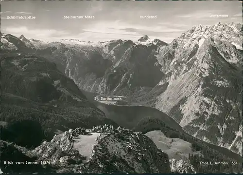 Schönau am Königssee Alpen Panorama Blick vom Jenner Ammon Photo-AK 1958