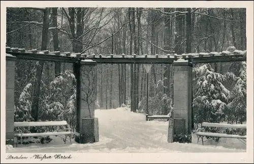 Ansichtskarte Weißer Hirsch-Dresden Waldpark im Winter 1934