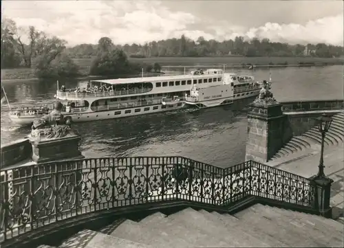 Ansichtskarte Dresden Dresdener Elbedampfer Pillnitz MS Ernst Thälmann 1966