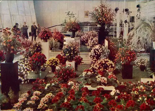 Ansichtskarte Erfurt Gartenbauausstellung der DDR (IGA) Sonderstempel 1966