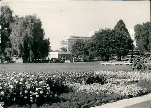 Ansichtskarte Potsdam Freundschaftsinsel - Anlagen 1973