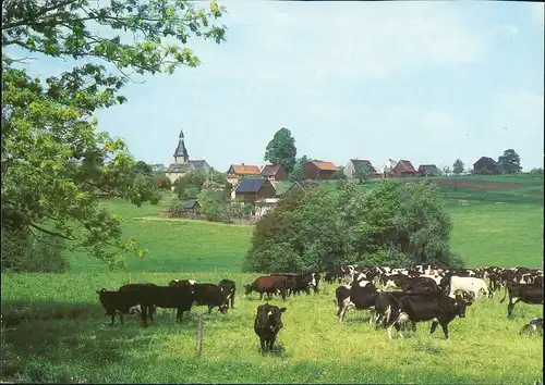 Ansichtskarte Waldkirchen Stadt, Kühe 1990