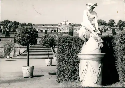 Ansichtskarte Potsdam Schlosspark Sanssouci 1976
