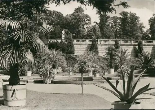 Ansichtskarte Potsdam Schloss Sanssouci - Siziliansicher Garten 1974