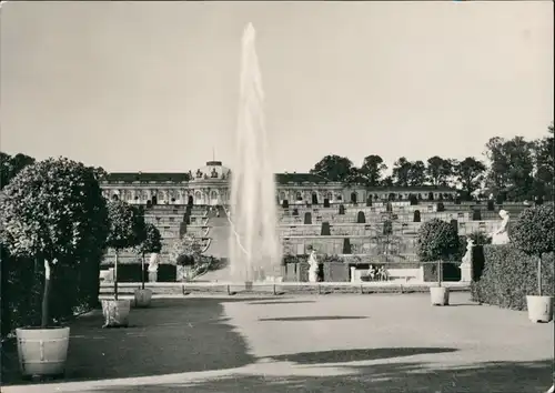 Ansichtskarte Potsdam Sanssouci Schloß 1967