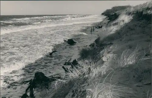 Foto Graal-Müritz Strandpartie 1967 Privatfoto