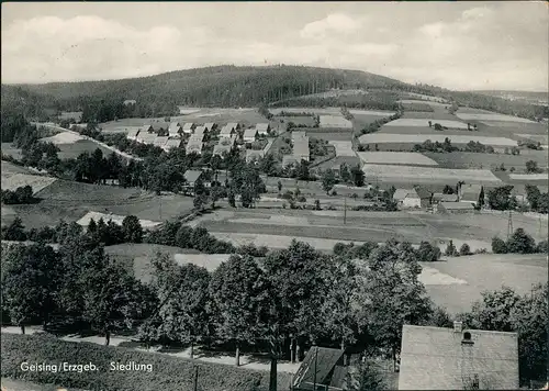 Ansichtskarte Geising-Altenberg (Erzgebirge) Siedlung 1960