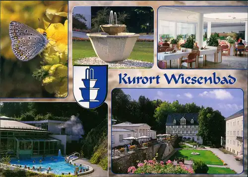 Wiesenbad Mehrbild-AK mit Bläuling Schmetterling, Robert-Koch-Haus uvm. 2000