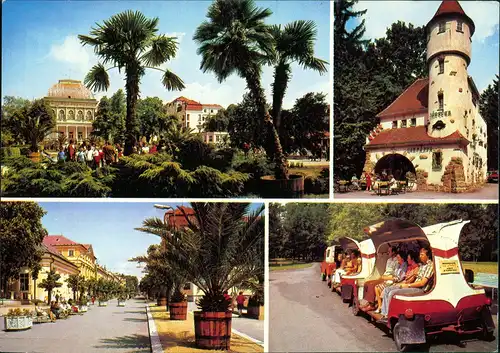 Franzensbad Františkovy Lázně MB: Kuranlagen - Touristenbus 1991