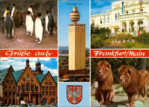 Ansichtskarte Frankfurt am Main Henninger Turm, Zoo 1972