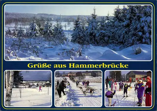 Hammerbrücke-Muldenhammer   Gruss-AK Winter, Schlitten-Rennen uvm. 2000