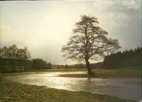 Ansichtskarte .Sachsen Fluss Partie Im Würschnitztal DDR Postkarte 1989