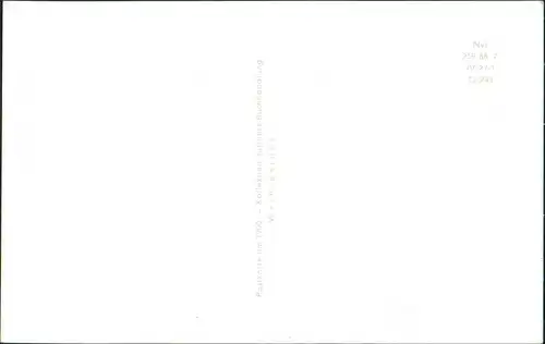 Ansichtskarte Wernigerode Markt um 1900 Repro 1999/1988