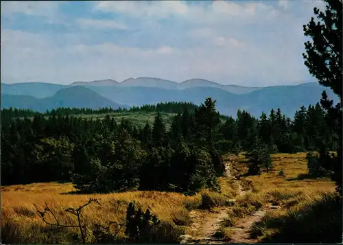 Ansichtskarte Baiersbronn Schliffkopf - Landschaft 1972