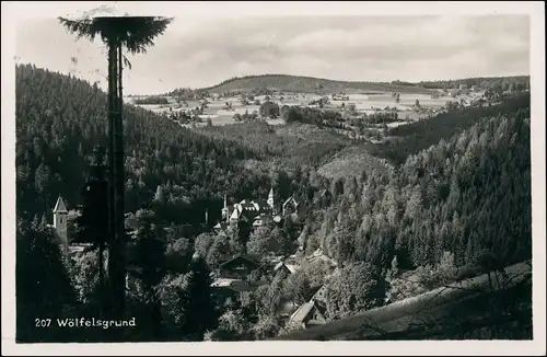 Postcard Wölfelsgrund Międzygórze Stadtblick 1931