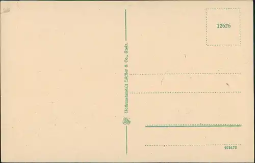 Ansichtskarte Bad Elster Lindenstraße 1922