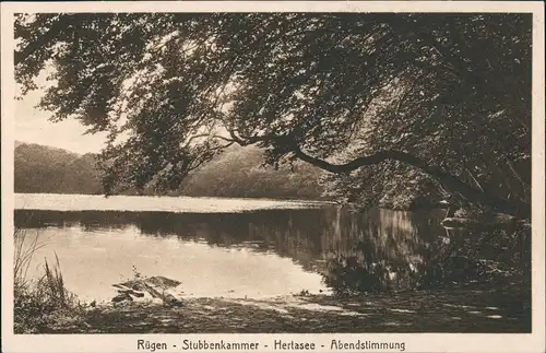 Ansichtskarte Stubbenkammer-Sassnitz Herthasee Abendstimmung 1926