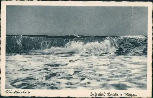 Ansichtskarte Baabe Windstärke 12 1938