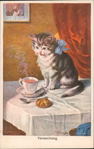 Künstlerkarte Katze auf Kaffeetisch J. Kränzle Versuchung 1927