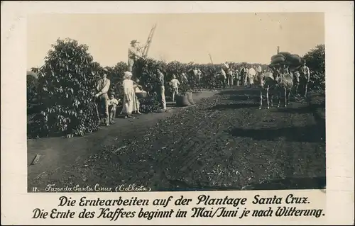Ansichtskarte  Kaffeedarboven Ernte Santa Cruz Colheita 1913