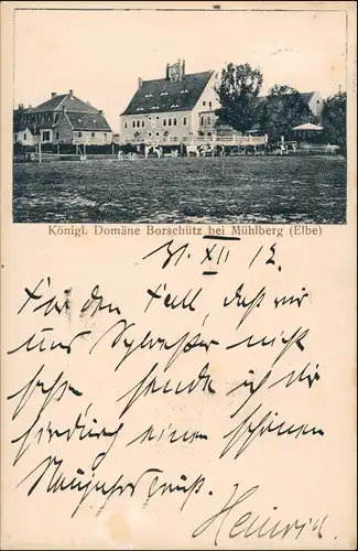 Ansichtskarte Altenau-Mühlberg/Elbe Miłota Domäne Borschütz 1912