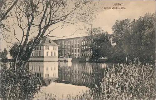 Ansichtskarte Lübben (Spreewald) Lubin (Błota) Große Amtsmühle 1916