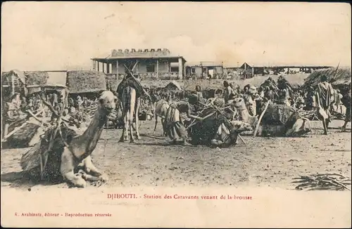 Postcard Dschibuti Djibouti Kamelmarkt 1910