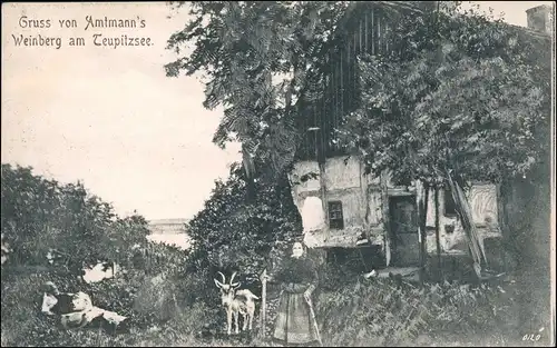 Ansichtskarte Teupitz Amtmanns Weinberg Teupitzsee 1912