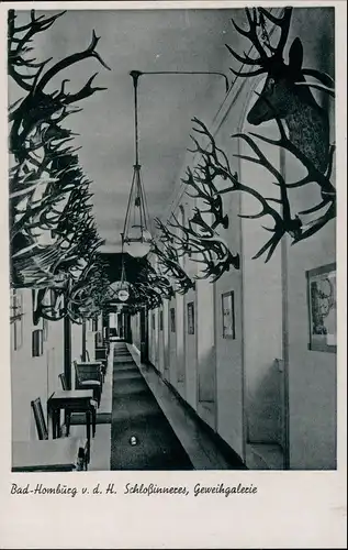 Bad Homburg vor der Höhe Kaiserliches Schloß - Geweihgallerie 1934