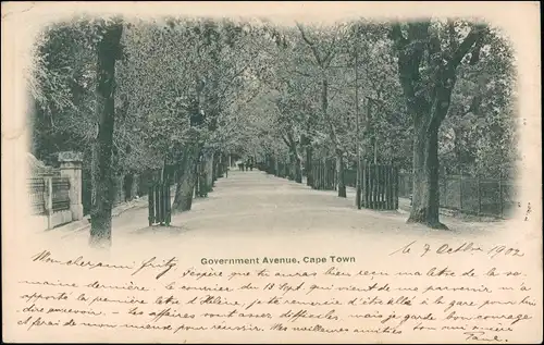 Postcard Kapstadt Kaapstad Government Avenue 1902