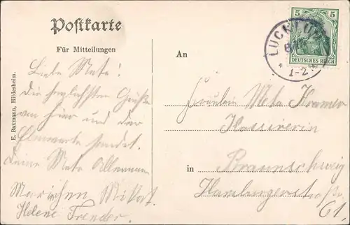 Ansichtskarte Sickte Reitling im Elm Kuhherde 1911