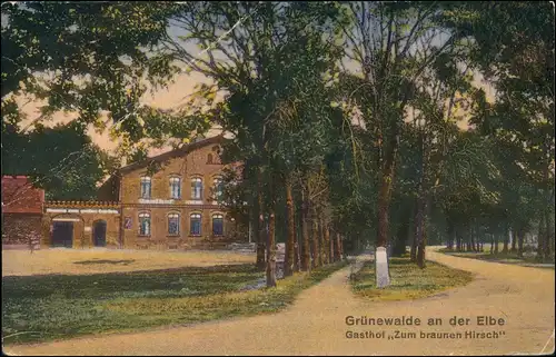 Ansichtskarte Grünewalde-Schönebeck (Elbe) Gasthaus zum braunen Hirsch 1928