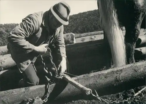 .Baden-Württemberg Der Schwarzwälder Fuchs, Holz Verarbeiter 1998