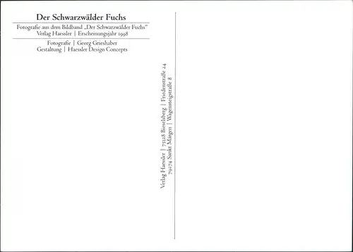 .Baden-Württemberg Der Schwarzwälder Fuchs, Holz Verarbeiter 1998