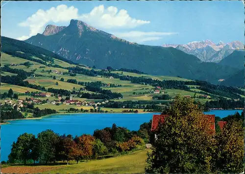 Zell am Moos Ortsansicht im Hintergrund Schafberg & Dachstein 1972